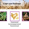 Новости Донской аграрной науки