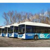 Еще 20 новых автобусов «Волгабас» большого класса прибыли в Воронеж