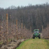Компания «Агроном-сад» высадила в Липецкой области 530 тыс. яблонь