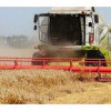 Сельхозпредприятия Краснодарского края собрали рекордный урожай зерна