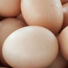 Удмуртия впервые экспортировала 437 тысяч пищевых куриных яиц в ОАЭ