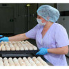 «Дамате» вышла на 100%-ную самообеспеченность инкубационным яйцом в Ростовской области