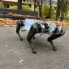НИИ механики МГУ представил первого российского шагающего четырехногого робота