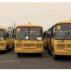 В Ярославскую область поступили 53 новых школьных автобуса