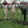 15 миллионов деревьев высажены в рамках акции «Сад памяти»