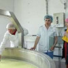 В Башкирии открылся цех по производству сырных зерен «Кальята»