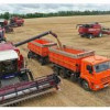 Самарская область собрала рекордный урожай зерна с 1978 года