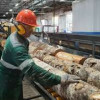 «Свеза» начала сращивать дрова в деловой кряж в промышленных масштабах