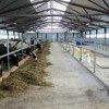 Новая роботизированная ферма на 140 молочных коров запущена в фермерском хозяйстве в Арзамасе