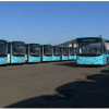 ГТЛК завершила поставку 390 автобусов в Санкт-Петербург