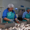 Ямальский производитель рыбной продукции открыл новую консервную линию