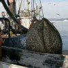 К концу марта рыбаки сохраняют прибавку по уловам