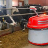 Агрофирма «Байрамгул» в Башкирии модернизировала молочное производство