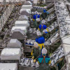 Производство рыбной продукции в России за 7 месяцев выросло на 9% — до 2,6 млн тонн