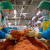 В России выросло производство лососевой и осетровой икры